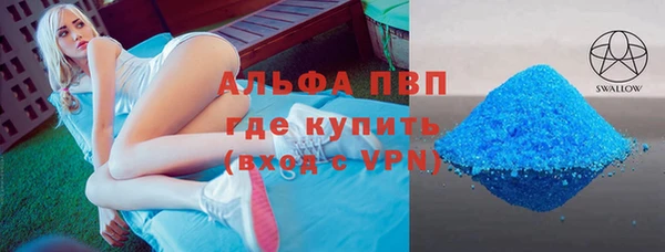 хмурый Белокуриха