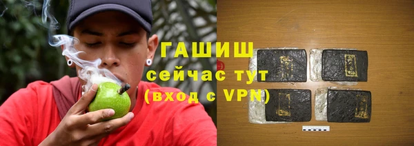 хмурый Белокуриха