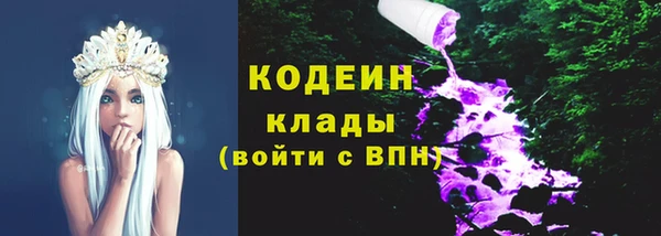 хмурый Белокуриха