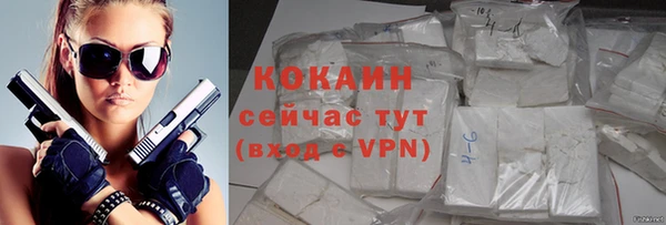 хмурый Белокуриха