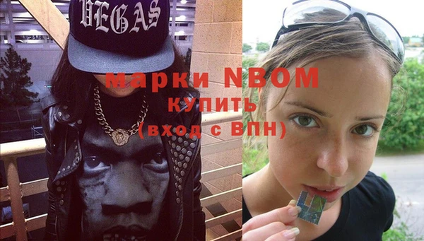 хмурый Белокуриха