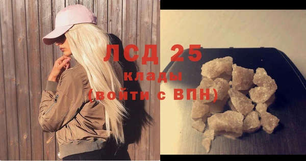 хмурый Белокуриха