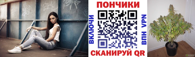 Бошки марихуана гибрид  Кострома 